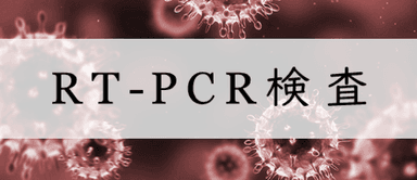 RT-PCR