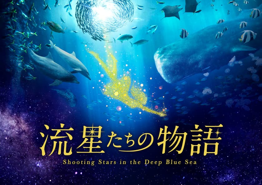 おうちで本格的にプラネタリウム作品鑑賞
「流星たちの物語」8月20日(木)よりDMM VR動画で販売！
YouTubeにて冒頭6分を無料公開