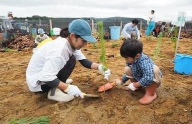 宮城県石巻市　2012年