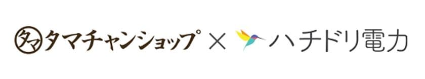 「タマチャンショップ」を運営する九南サービス　
本社事務所、都城本店、物流センターを含む6つの建物を
実質自然エネルギー100％のハチドリ電力へ切り替え