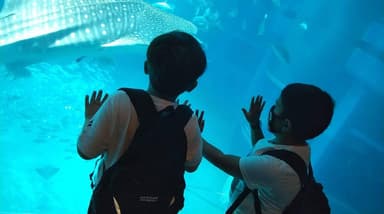 特別授業「水族館へ行こう」