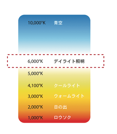 Halo Goの色温度