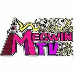 株式会社MEGWIN TV