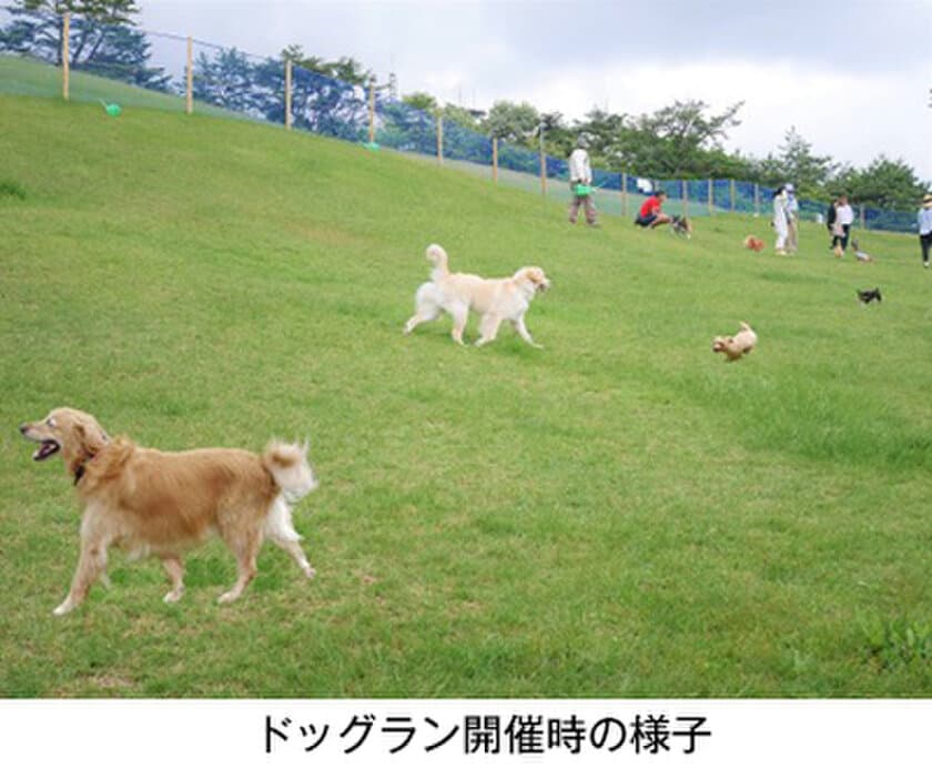 愛犬と過ごす秋の六甲山カンツリーハウス
「六甲山のドッグラン」開催！
9月5日(土)～11月3日（火・祝）の土曜・日曜・祝日