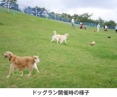 ドッグラン開催時の様子