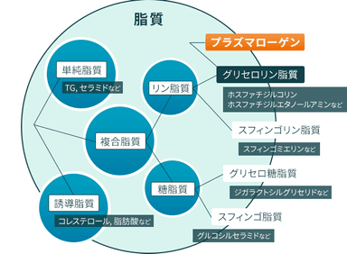 プラズマローゲンとは