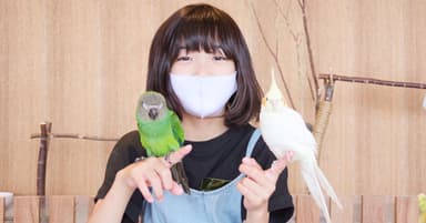 インコたちを自由に手に乗せてみたり、肩に乗せてまったりしたり…