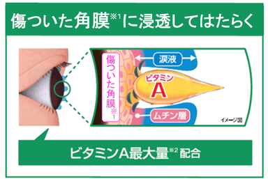 傷ついた角膜に浸透