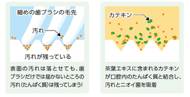 茶葉エキスで固めてお口スッキリ！