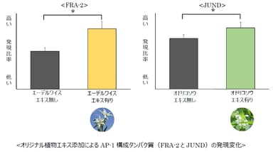 オリジナル植物エキス添加によるAP-1構成タンパク質(FRA-2とJUND)の発現変化 グラフ