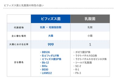 ビフィズス菌と乳酸菌の特性の違い