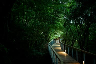 広大な箱根の森に佇む箱根リトリート