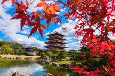 蓮華院誕生寺奥之院