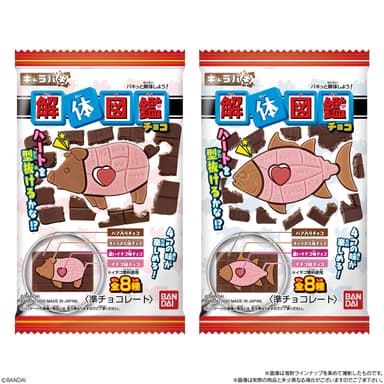 解体図鑑チョコ パッケージ