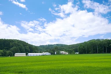 北海道でも北部に位置する森林の街「下川町」は夏と冬の寒暖差が60℃！