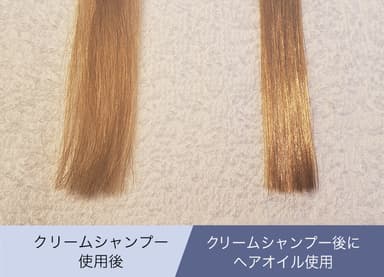 ヘアオイル使用時の髪