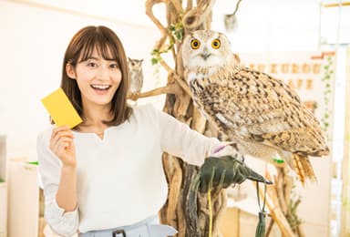 フクロウとの写真撮影タイム