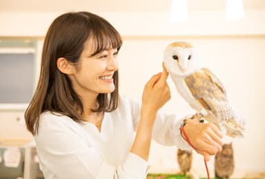 フクロウへおさわり