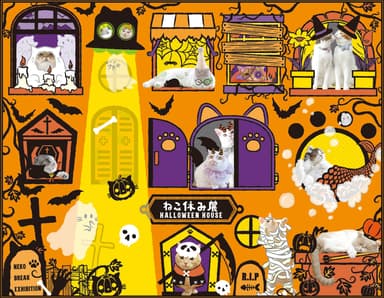 「ねこ休み展 in 大阪」ハロウィンイメージ