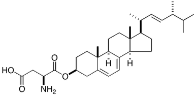図2. 新規ステロール脂質エルゴステリルアスパラギン酸（Erg-Asp）の化学構造