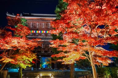 山門の紅葉