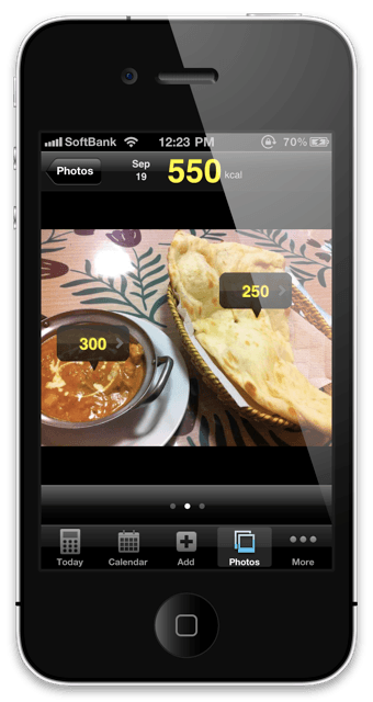 図1：FoodLog Calの画面キャプチャ(食事写真画面)