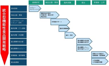 基礎研究～コミュニケーションまで全体の流れ