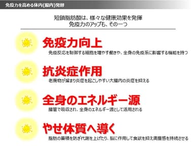 短鎖脂肪酸の健康効果