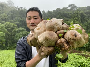 露地栽培アガリクスと東栄新薬社長：元井章智