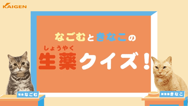 2019年・きなこちゃん登場