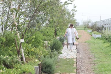 花・緑・庭で笑顔をつくった部門(プロフェッショナル)特別賞　藤クリーン株式会社様