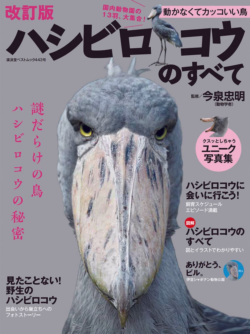 動物ジャンルでは異例の6刷となった書籍の改訂版
『ハシビロコウのすべて 改訂版』を、
『ハシビロコウカレンダー2021』と同時に10月13日発売！