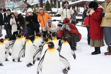 北海道大冒険キャンプ