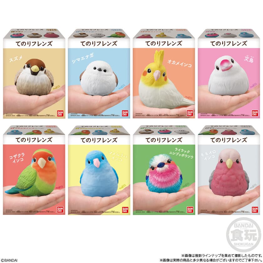 手のひらサイズのかわいい「ことり」の食玩フィギュア発売！
文鳥、シマエナガ、オカメインコなど全8種