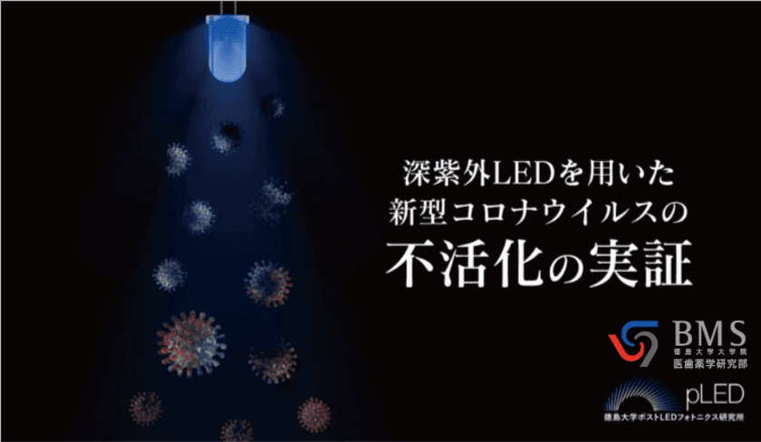 ＜徳島大学研究、新型コロナウイルス不活化度99.9％以上＞
製品応用に弾みとなる、
不活化に有効な「深紫外光量」の定量化に成功