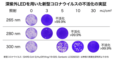 深紫外LEDを用いた新型コロナウイルス不活化の実験結果