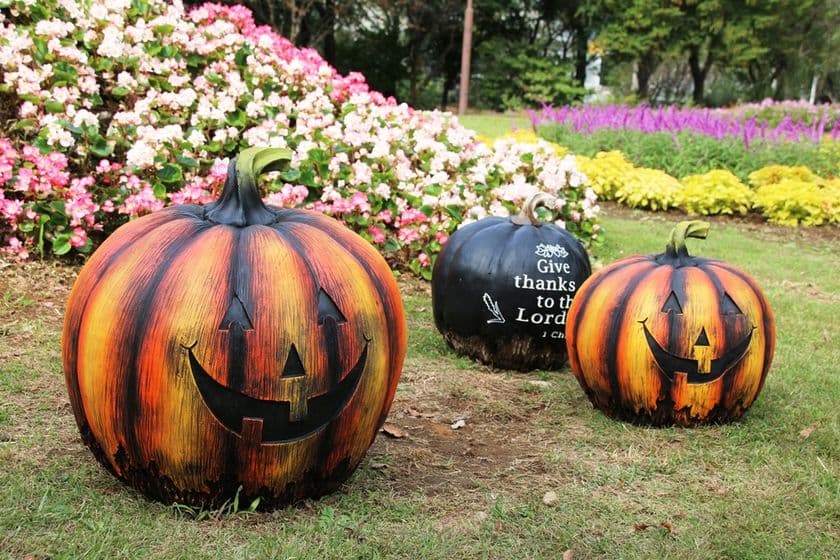 カネコ種苗 ぐんまフラワーパークにて
1,700株のバラの香りに包まれるハロウィンイベント
「秋バラフェスタ～フラワーハロウィン～」を
10月31日(土)まで開催