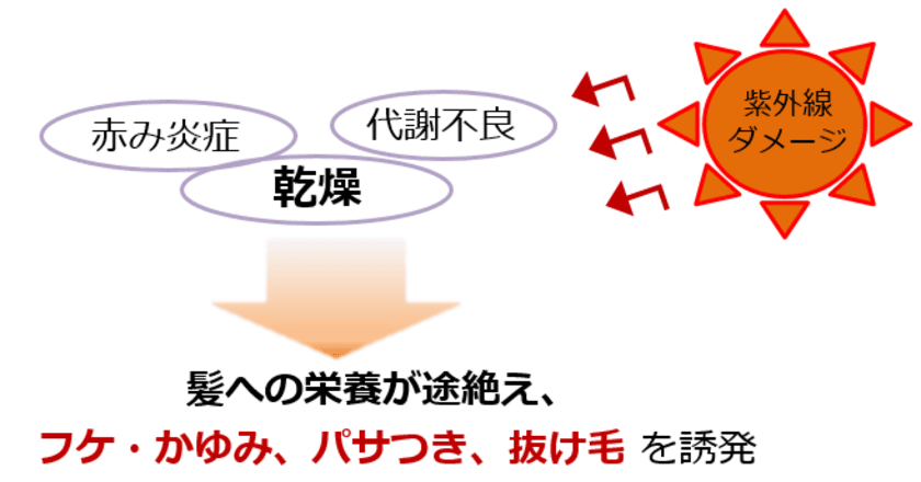 秋から始めたい頭皮ケア！
ダメージヘアにも育毛剤の新常識に関する情報を公開