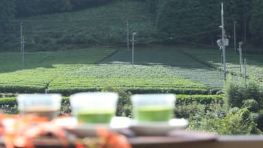 宇治茶の主産地、和束町