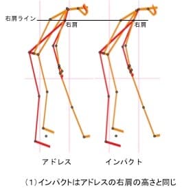 (1)の画像