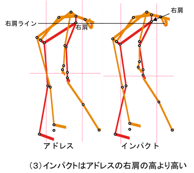 (3)の画像