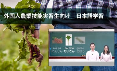 農業技能実習生eラーニング5