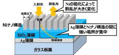 図1　Niナノ周期構造とAg薄膜による磁場検出。Niナノ周期構造とAg薄膜の間に非常に強い光電界が集中します。そのためNiの磁化によって散乱光が大きく影響を受け、反射率が変化することで磁場検出を行います。