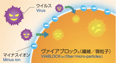 HABUTAE 2 PR6