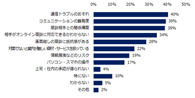 オンライン商談において懸念に感じることがあれば教えてください。（複数回答可）