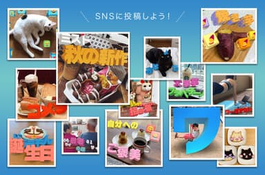 SNSに投稿しよう！