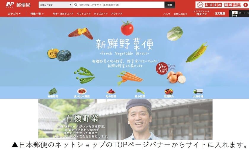 日本郵便のネットショップで旬な新鮮野菜を届ける通販サイトを開設
「新鮮野菜便 -Fresh Vegetable Direct-」 11月16日より販売開始