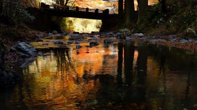 蓬莱山の清流(栃木)