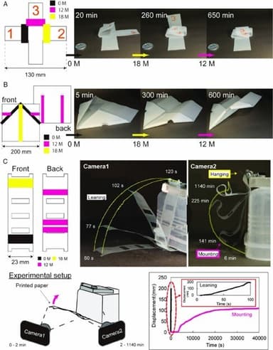 図：自律的に折られる構造物の印刷