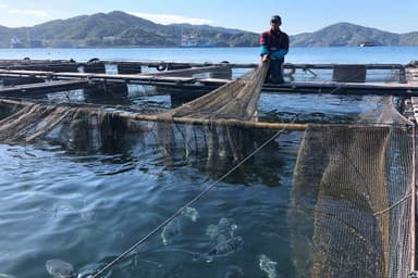 養殖場の様子